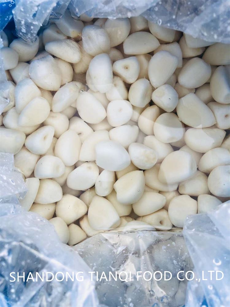 salted garlic in plastic drums