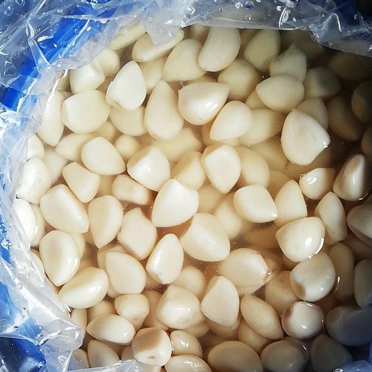 peeled normal white garlic in brine in drums