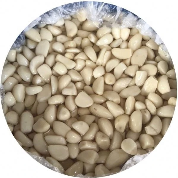 Salty white garlic in drums
