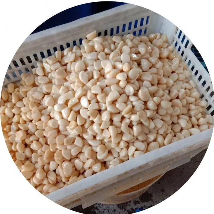 Hot selling brined garlic cloves in drums