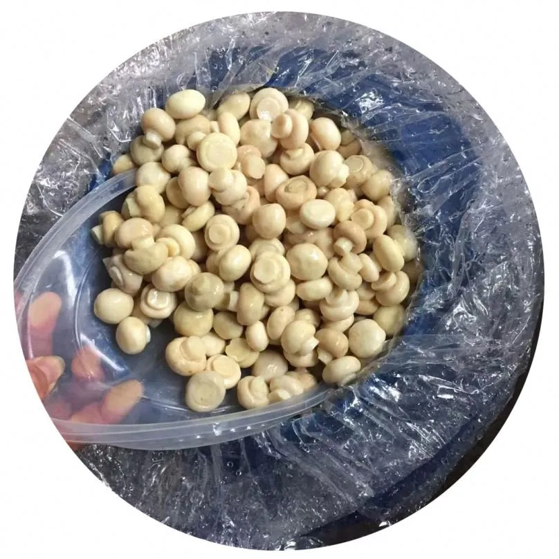Jamur Asin dalam Drum Barrel