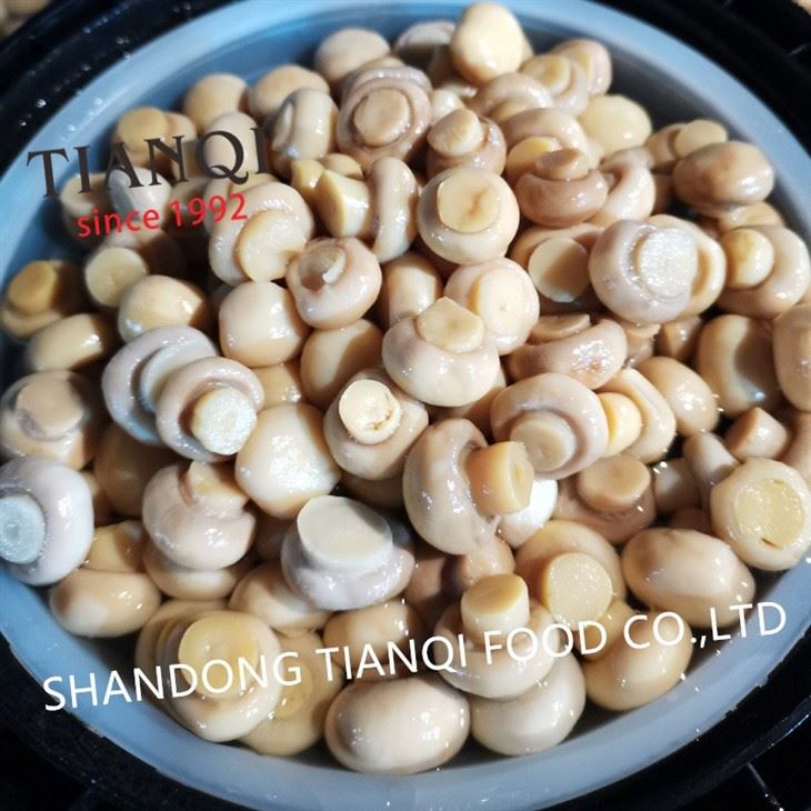 Hot selling white button mushroom in brine in drums