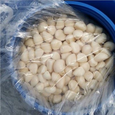 Bawang Putih Tanaman Baru yang Diawetkan dalam Air Garam