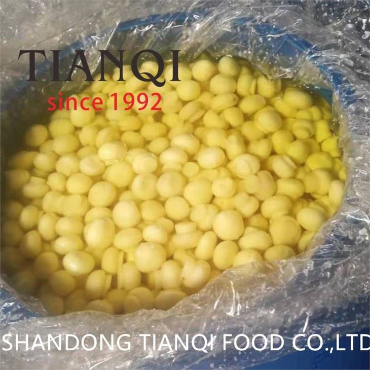 Mushroom in SO2 in plastic drums